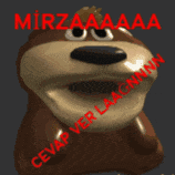 a cartoon bear with the word mirzaaa written on it
