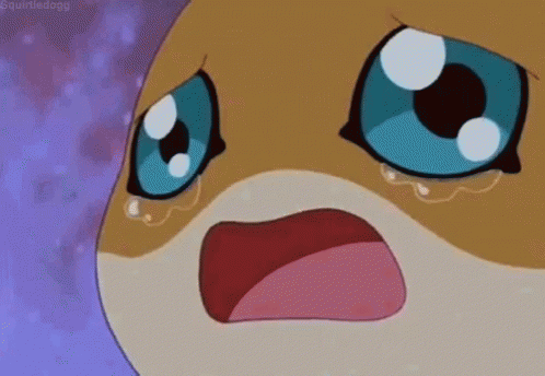 Digimon Patamon GIF - Digimon Patamon Crying GIFs