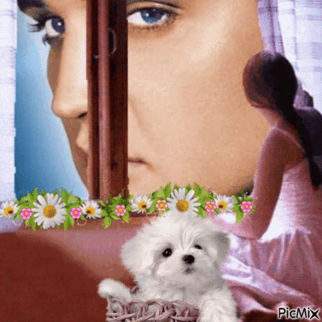 a picture of a woman looking out a window with flowers and a small white dog in front of her