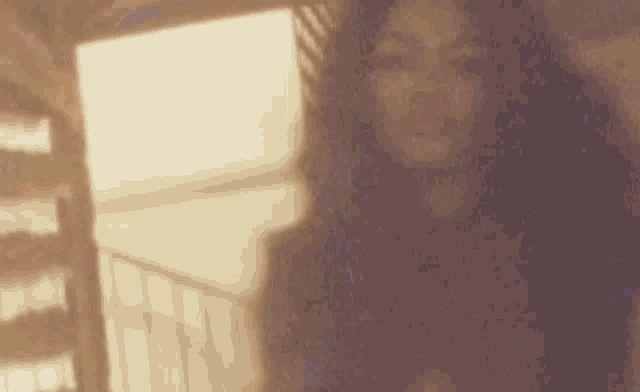 a woman with long hair is standing in front of a window in a blurry photo .