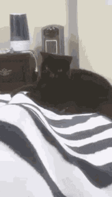 a black cat is laying on a bed next to a nightstand .