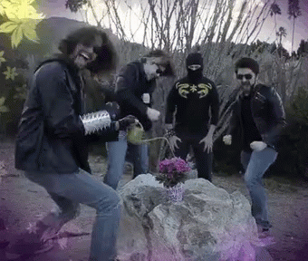Nsp Rock Out GIF - Nsp Rock Out Friends GIFs