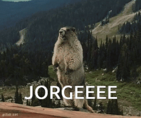 Jorge Jorge Beaver GIF - Jorge Jorge Beaver Beaver GIFs