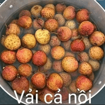 a pot filled with fruit and water with the words vai ca noi on it .