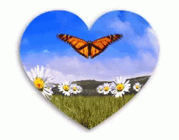 Heart Butterfly GIF - Heart Butterfly Flowers GIFs