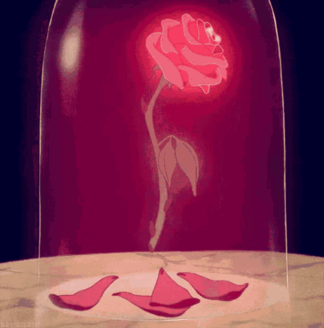 a rose in a glass dome with petals on the floor