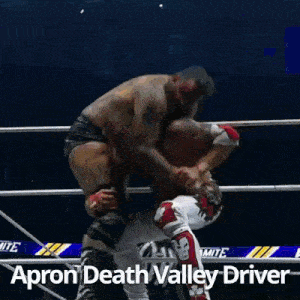 two wrestlers in a ring with the words apron death valley driver