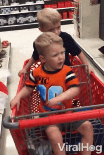 Kids Shopping GIF - Kids Shopping Cart GIFs
