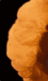 a close up of a flame on a black background .
