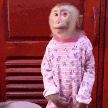 a baby monkey is standing in front of a red door .