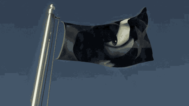 a black and white flag flying in the wind
