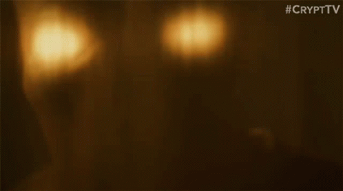 Staring Featured Creature GIF - Staring Featured Creature Ctv GIFs