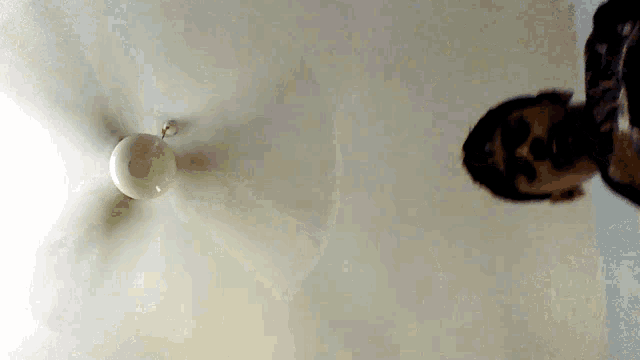 a ceiling fan is spinning in a room with a person standing in the foreground