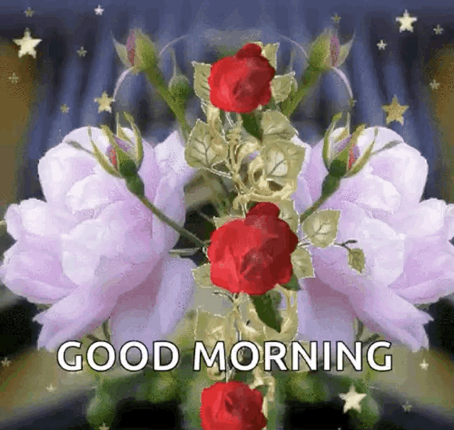a bouquet of roses with the words good morning written on it