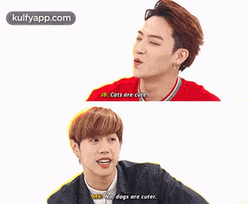 two young men are talking to each other and one of them is saying that cats are cute .