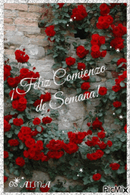 a picture of red roses with the words feliz comienzo de semana on it