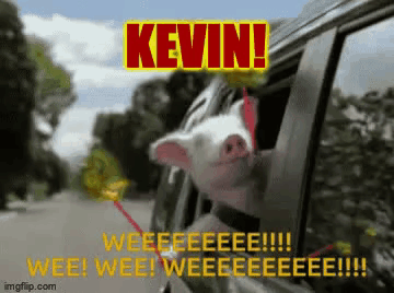 Kevin The GIF - Kevin The Cow GIFs