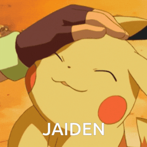 a person petting a pikachu with the name jaiden on it