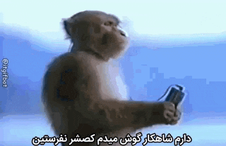 a monkey is holding a cell phone and wearing headphones in a foreign language .