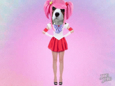 a dog with pink hair is dressed as a woman