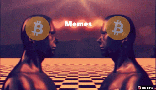 Bitcoin Memes GIF - Bitcoin Memes Bitcoin Memes GIFs