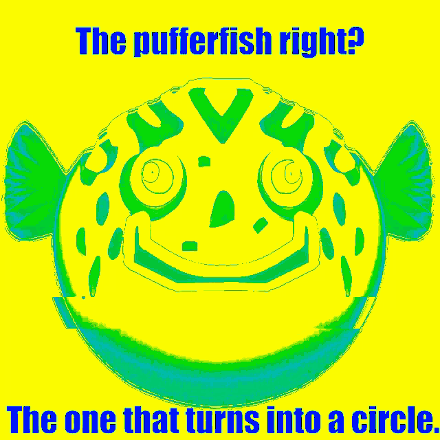 The Pufferfish Right The One That Turns Into A Circle GIF - The Pufferfish Right The One That Turns Into A Circle Keemstar GIFs