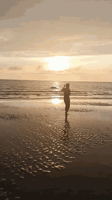 a silhouette of a person standing on a beach with a sunset in the background