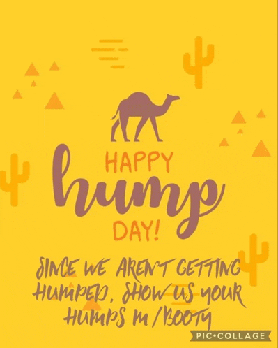 a poster that says happy hump day with a camel on it