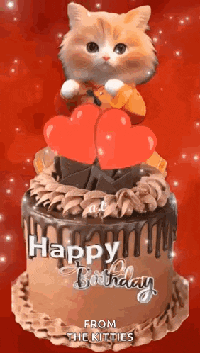 a cat is sitting on top of a chocolate birthday cake with hearts .