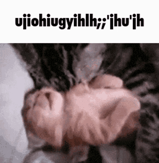 a cat is laying on its back on a bed with a caption that says ` ` ujiohugyilh ` ` .