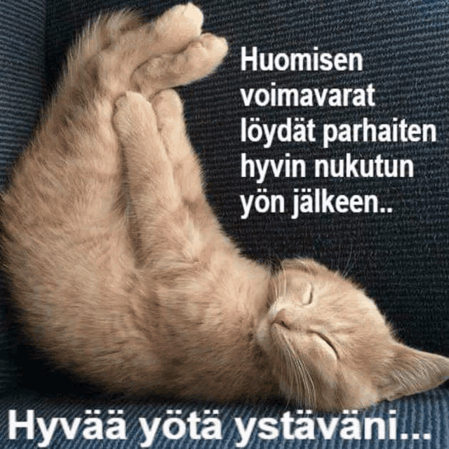 a cat is laying on its back with the words huomisen voimavarat loydat parhaiten hyvin nukutun yon jaleen