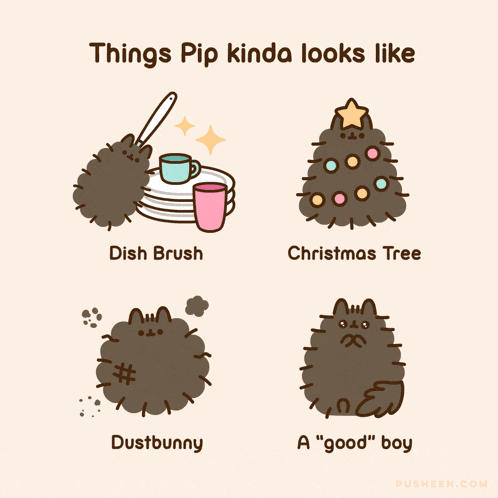 things pip kinda looks like dish brush christmas tree dustbunny a good boy