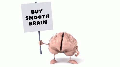 Smooth Brain Brain GIF - Smooth Brain Brain Smooth GIFs