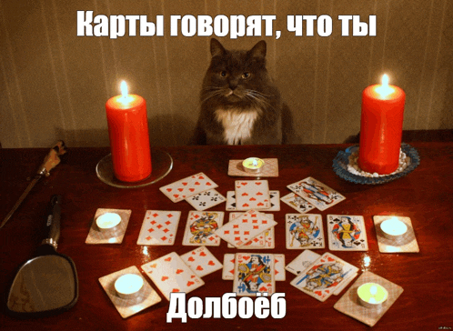 a cat sits at a table with playing cards and candles and says " карты говорят "