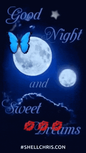 a good night and sweet dreams greeting card with a blue butterfly and a full moon .