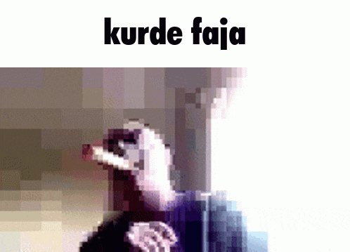 a pixelated image of a ferret with the words kurde faja below it