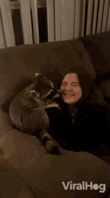 Raccoon Viralhog GIF - Raccoon Viralhog Pet GIFs