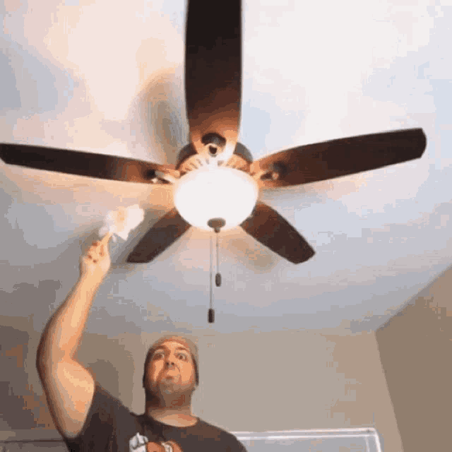 Dashie Xp Spring Cleaning GIF - Dashie Xp Spring Cleaning Ceiling Fan GIFs