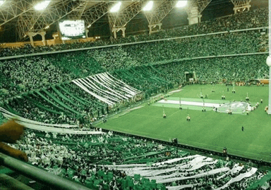 a stadium filled with lots of green and white flags and people