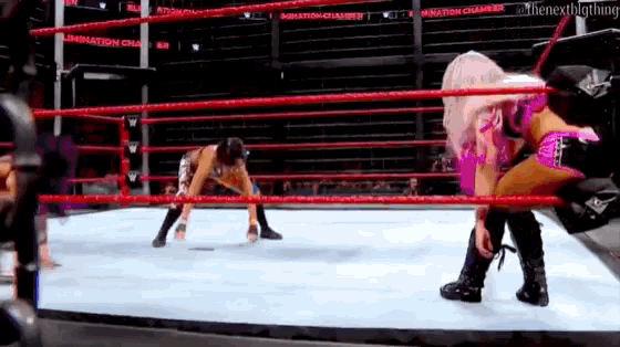 Sasha Banks Punches GIF - Sasha Banks Punches Tackles GIFs