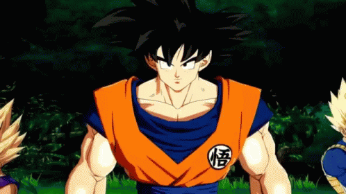 Team Fighter GIF - Team Fighter Fighting GIFs