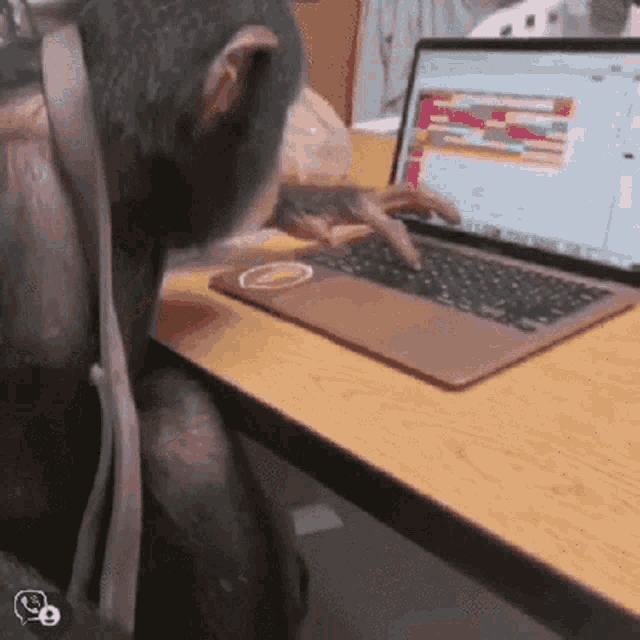 Limbani Monkey GIF - Limbani Monkey Monkey Typing GIFs