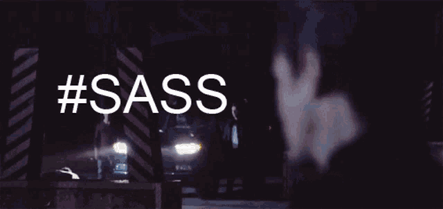 a man stands in front of a car with #sass written on it