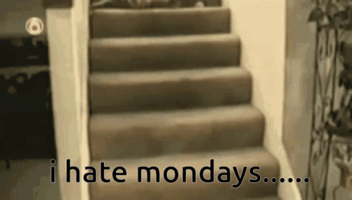 Cat Monday Stairs I Hate Mondays GIF - Cat Monday Stairs I Hate Mondays Falling Off Stairs GIFs