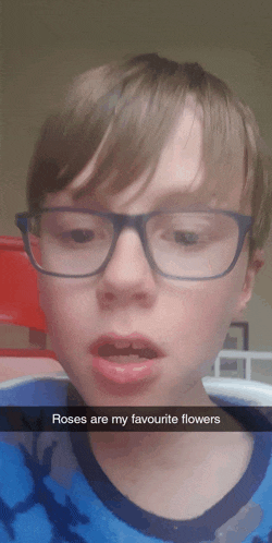 a young boy wearing glasses and a blue shirt says roses are my favorite flowers