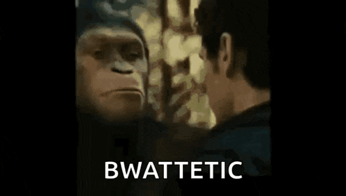 a close up of a person 's face with the word bwattetic written on the bottom .
