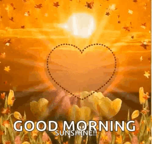 a good morning sunshine greeting card with a heart in the middle of a field of flowers