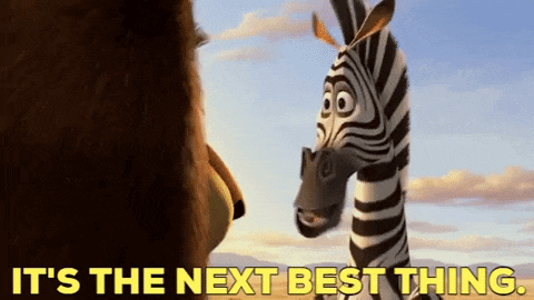 a zebra and a lion are looking at each other with the words it 's the next best thing below them