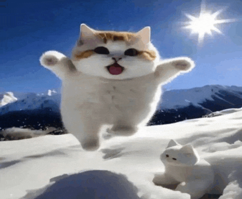 a cat is jumping in the air on top of a snow covered hill .