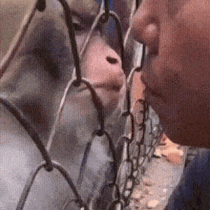 a close up of a person 's face behind a fence